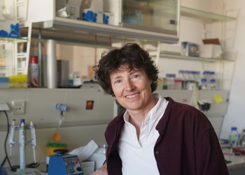 Portrait von  Prof. Dr. Petra Schwille